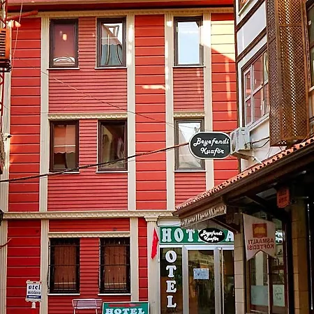 Asya Hotel 3*